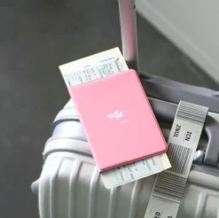 Plane Passport Case