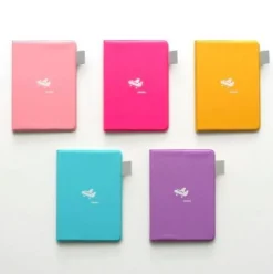 Plane Passport Case