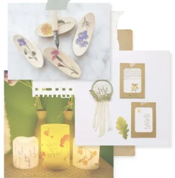 Rapeseed Pressed Flower Sticker