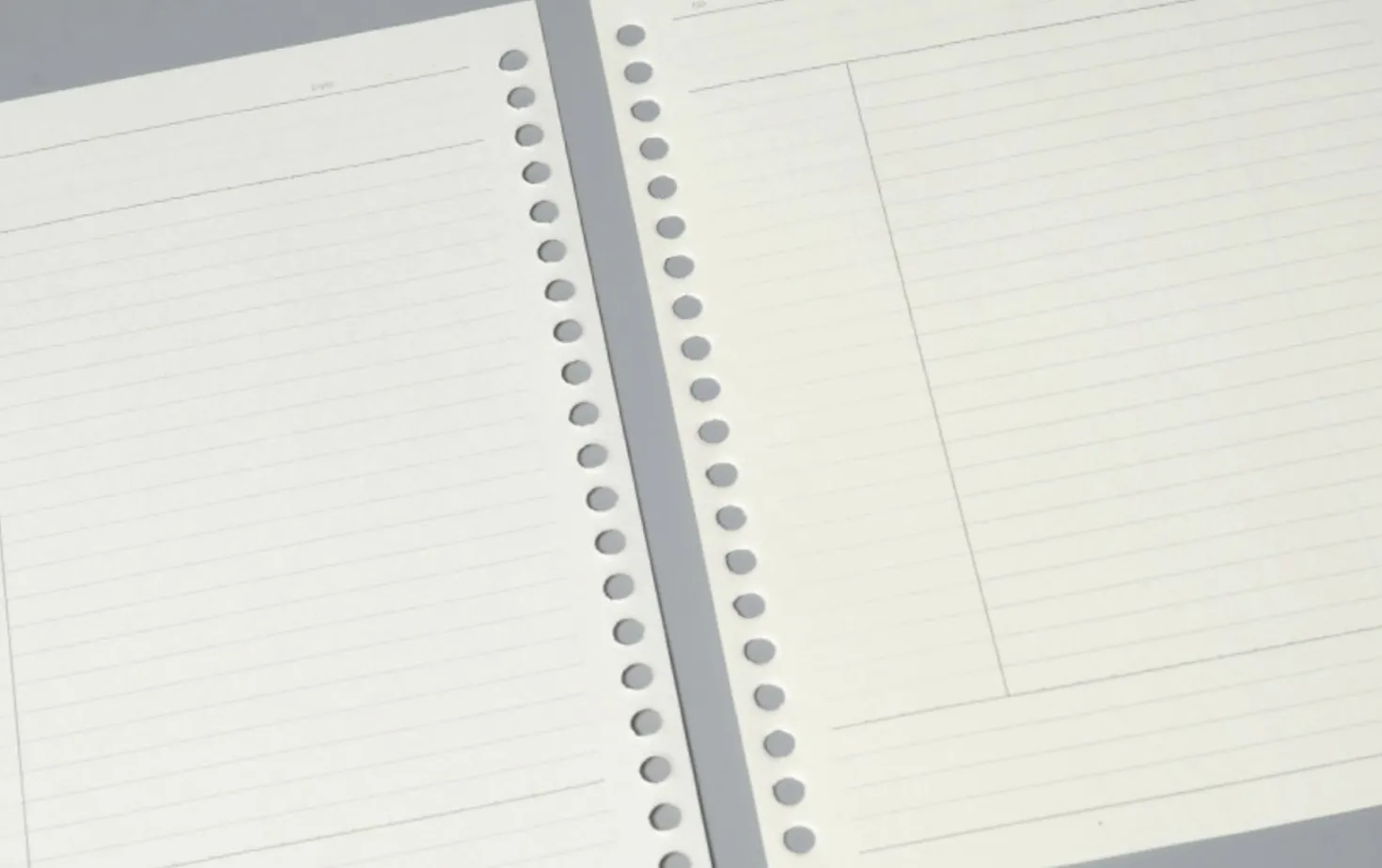 20 Ring A5 Cornell Note Refill