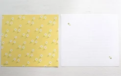 Rolled Up Letter Set