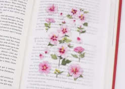 Rose of Sharon Pressed Flower Sticker