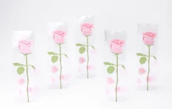 Rose Sticky Note