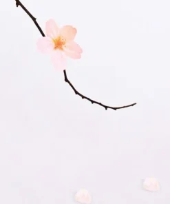 Small Cherry Blossom Sticky Note