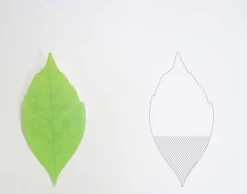 Small Leaf Sticky Note
