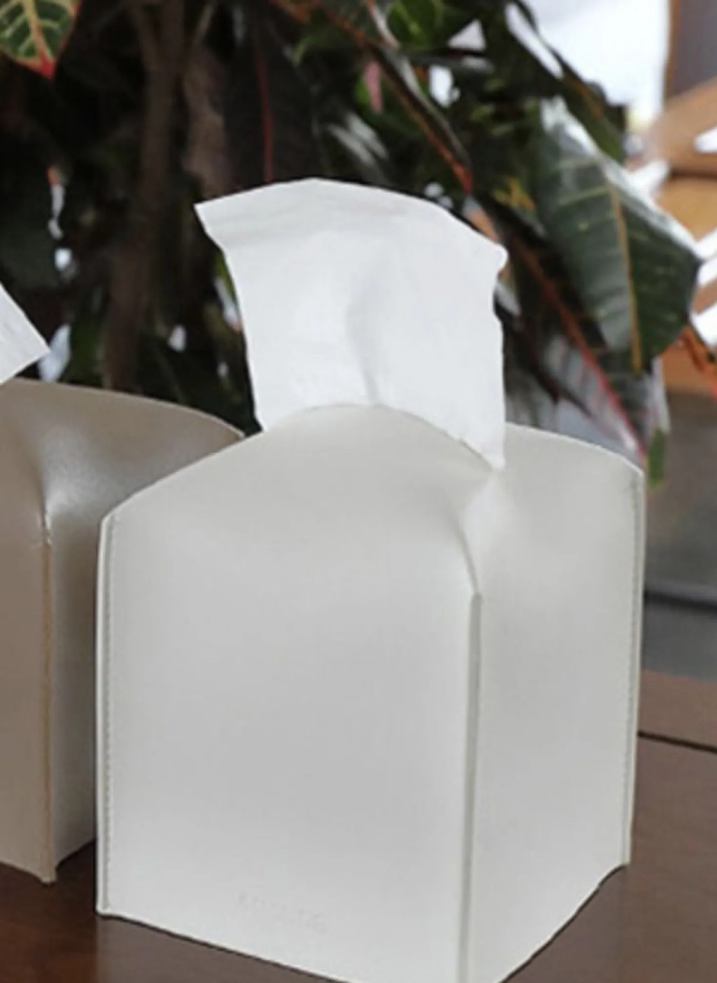 Small Leather Tissue Cover