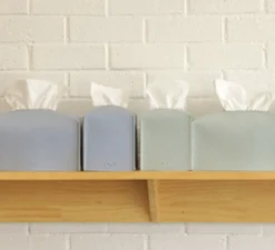 Small Leather Tissue Cover