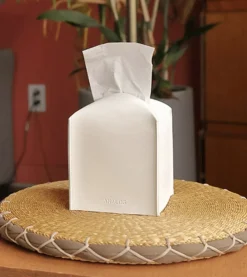 Small Leather Tissue Cover