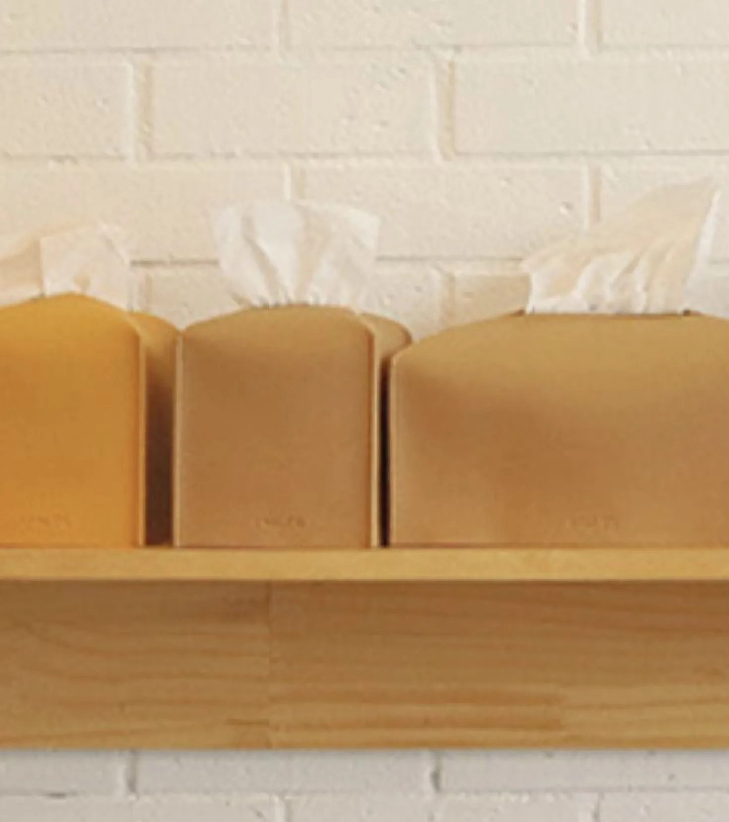 Small Leather Tissue Cover