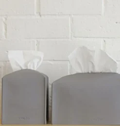 Small Leather Tissue Cover