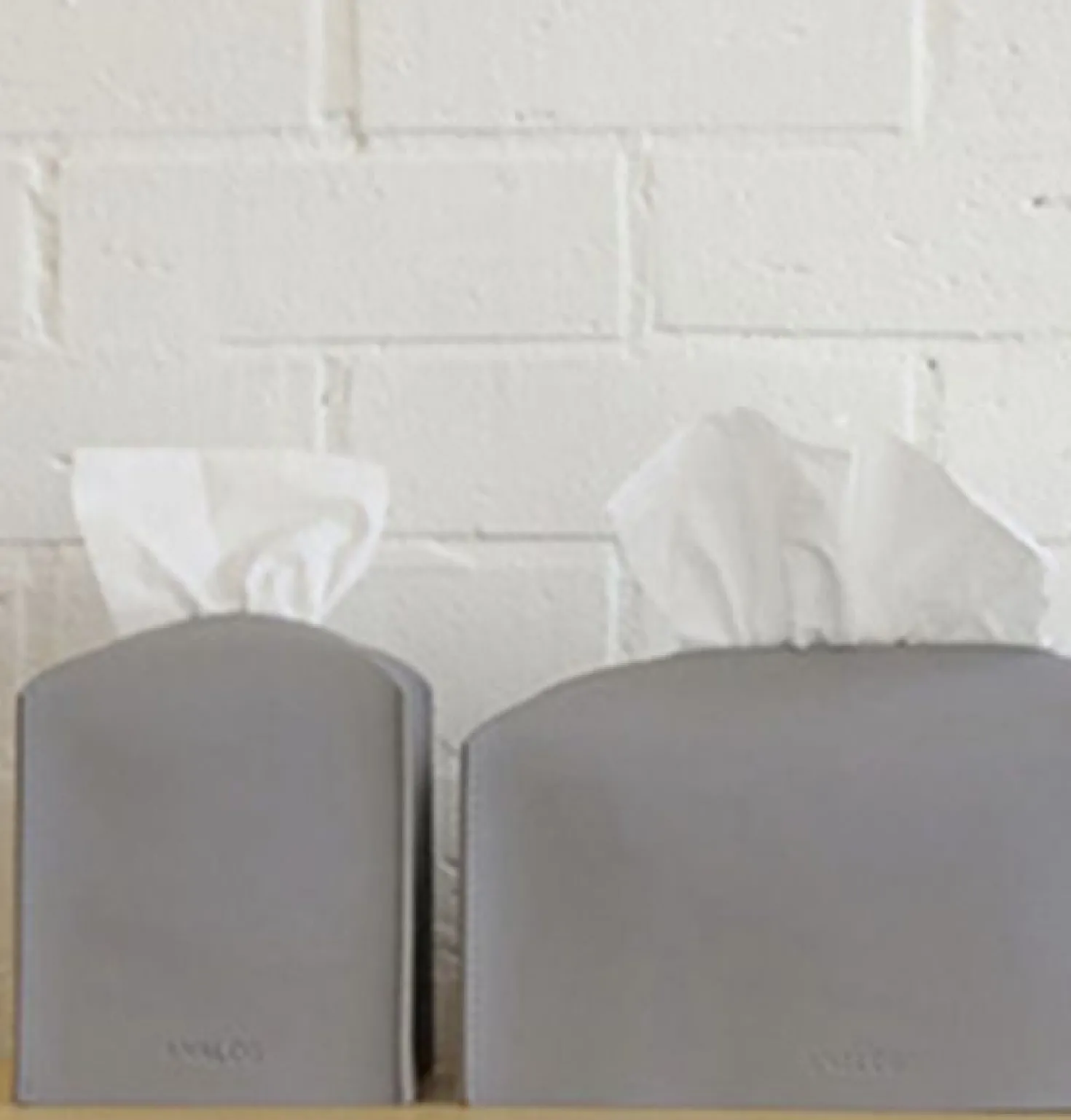 Small Leather Tissue Cover