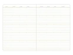 Small 6 Month Daily Manager Planner