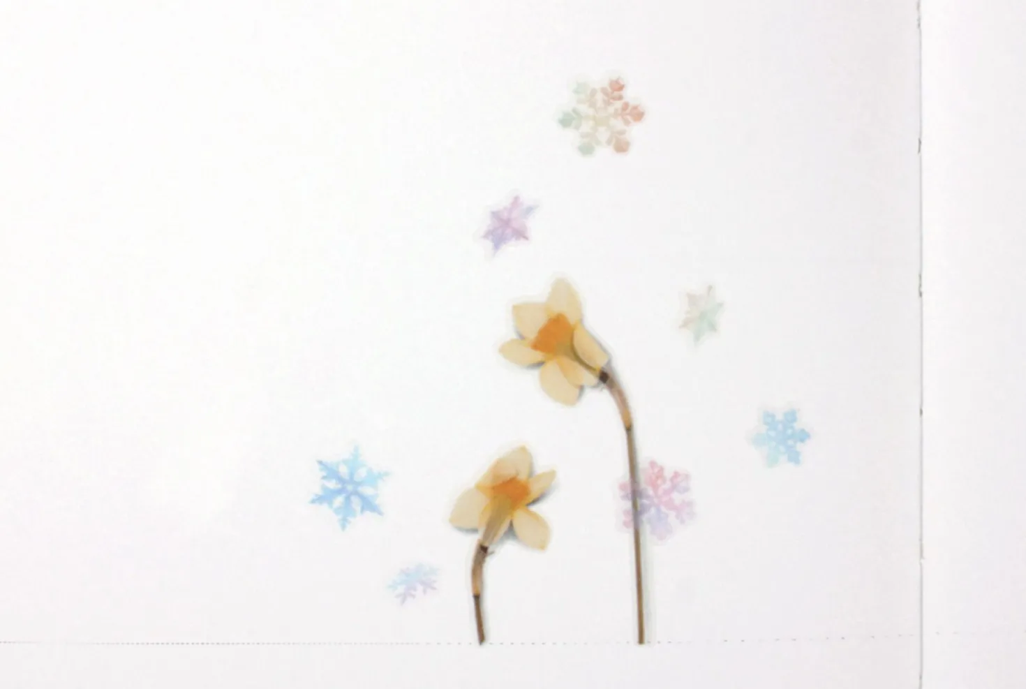 Snowflake Nature Sticker