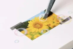 Soap Bubble Nature Sticker