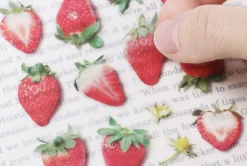 Strawberry Pressed Fruit Sticker