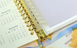 Translucent 20 Ring A5 Index Tabs