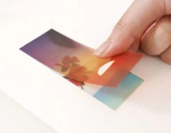 Tropical Sunset Layered Sticker Set