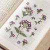 Verbena Pressed Flower Sticker