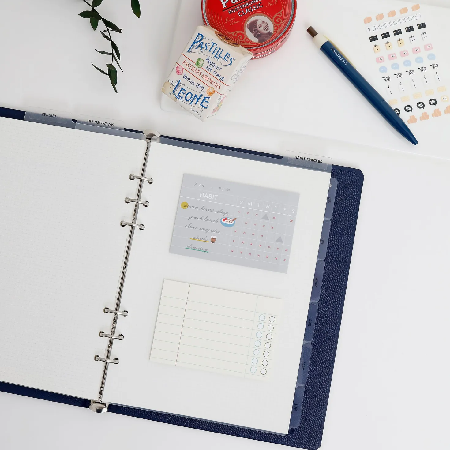 Vertical Translucent 6 Ring A5 Index Tabs